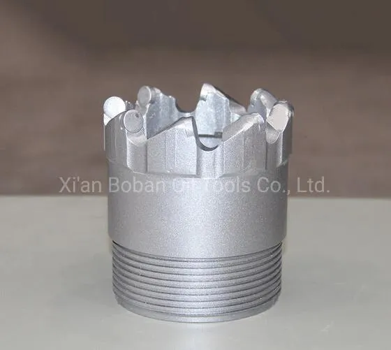 PDC Drill Bit Detail 2