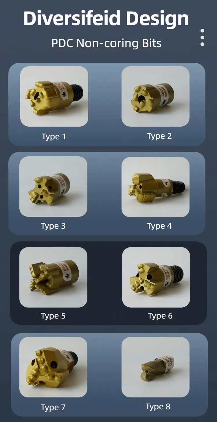 PDC Bit Detail 1