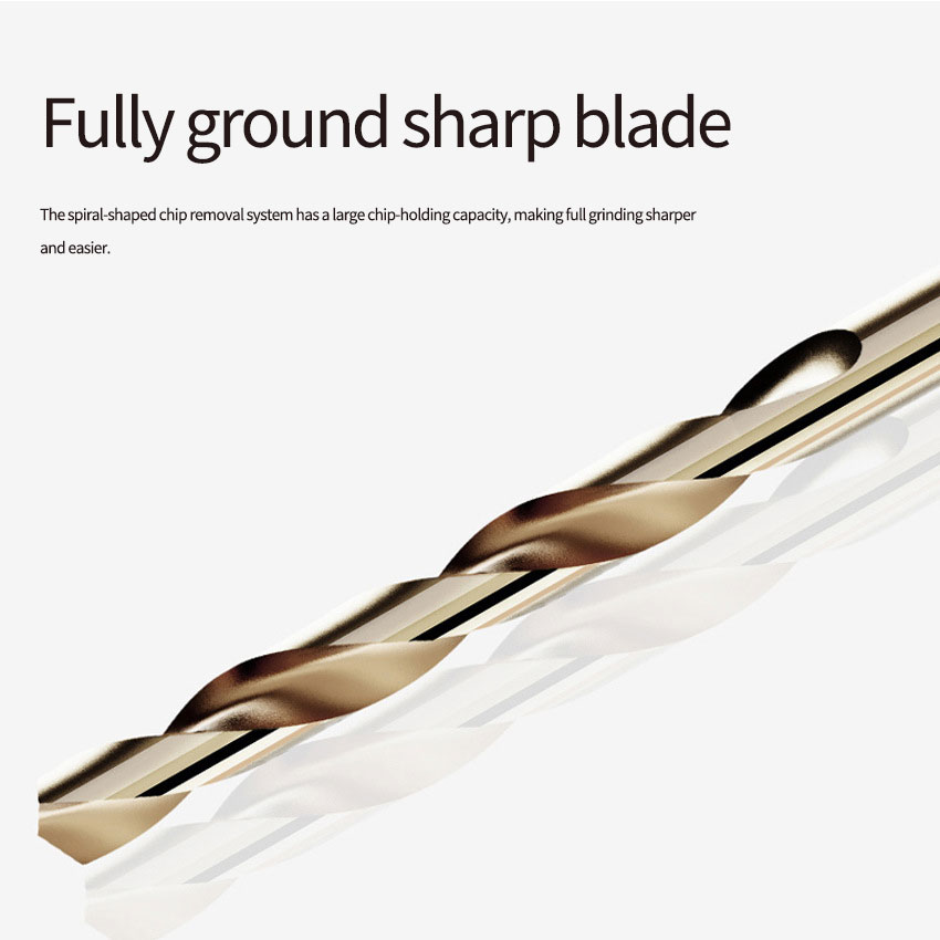 Drill Bit Head View