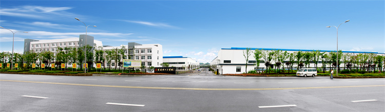 Company Overview 1