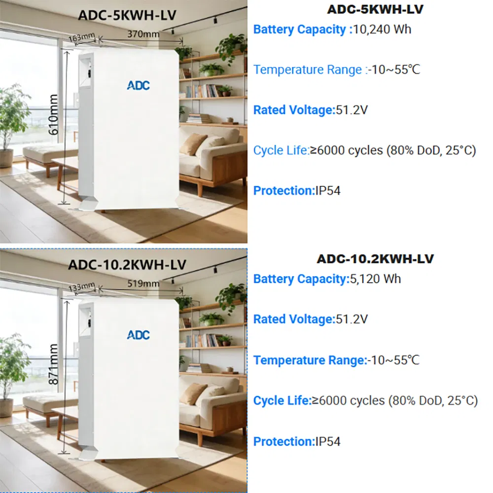 China Smart Solar Power UPS Storage Power Supply Long Life Li Polymer Replacement Li LiFePO4 with BMS