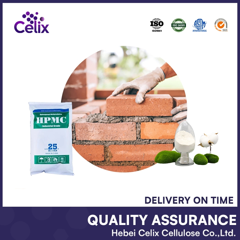 Premium Tile Adhesive Mortar with Superior HPMC Cellulose Formula