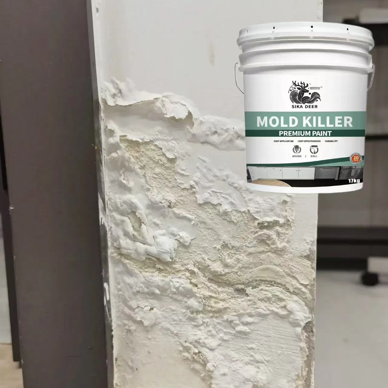 Polymer-Enhanced Guard for Leaking Areas with Mold Killer Coating