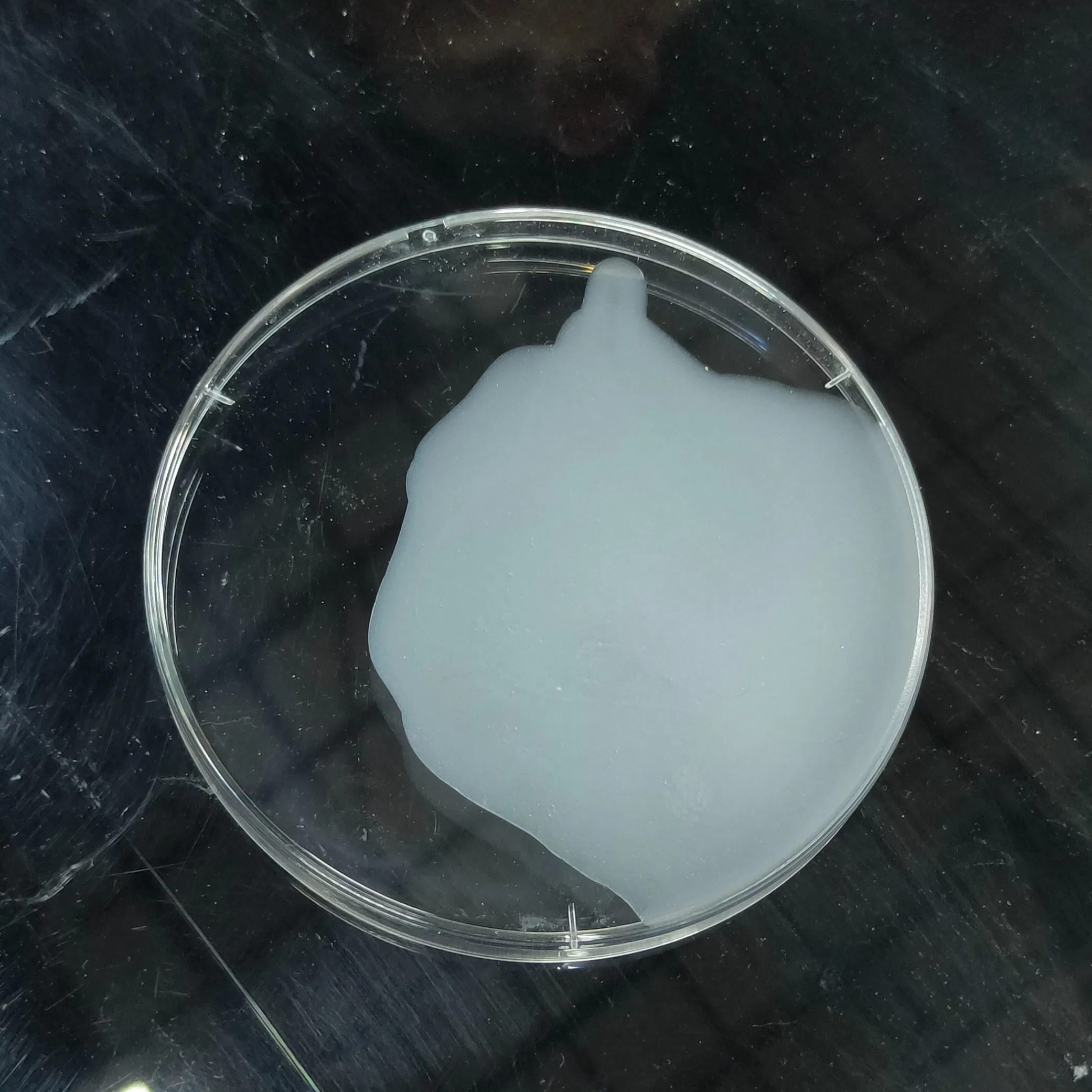 Factory Manufacturer of Building Material Rdp in Dry Mix Mortar for Tile Adhesive, Tile Grout