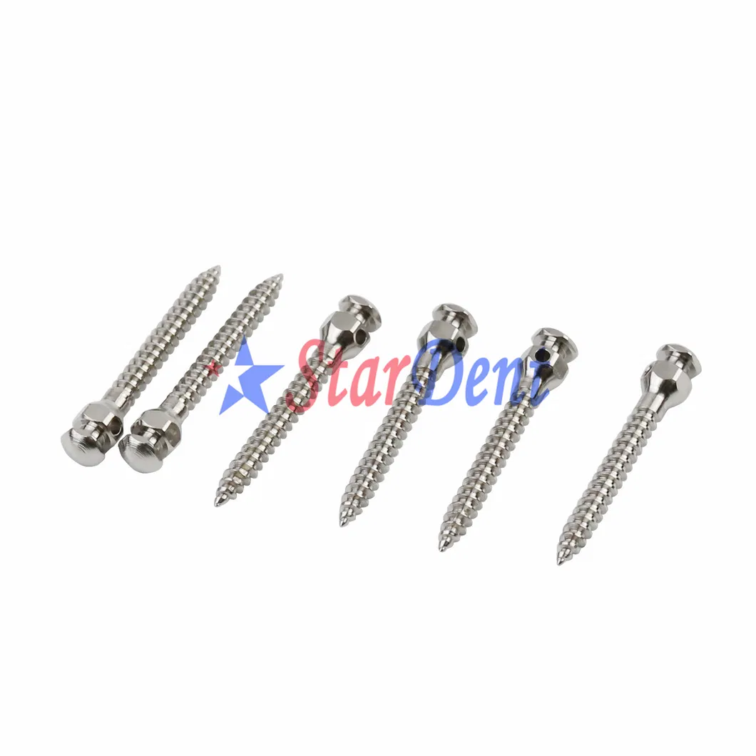 Dental Mini Screws 4