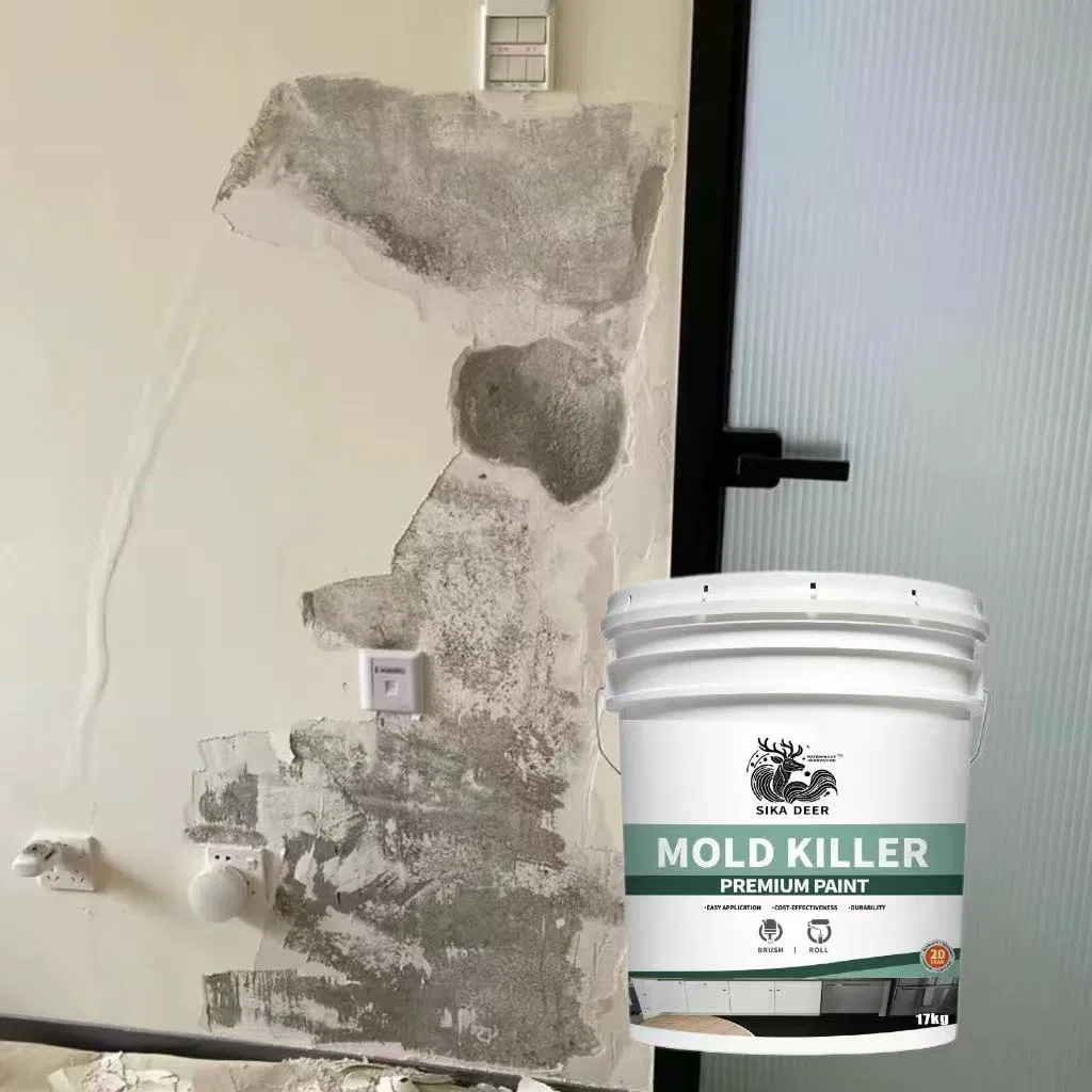 Inorganic-Bonded Shield for Poor Finishes with Mold Killer Coating