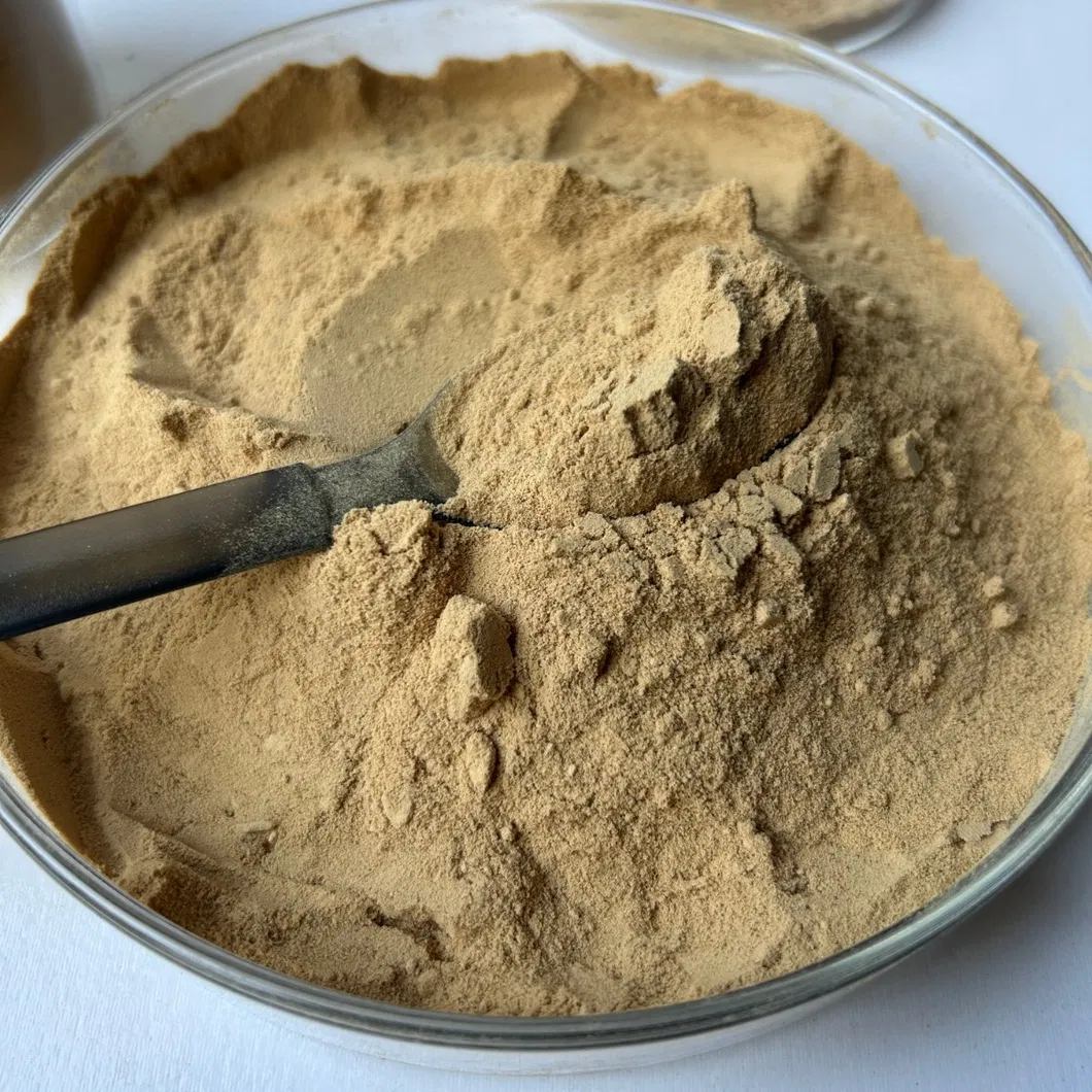 Water Reducing Agent