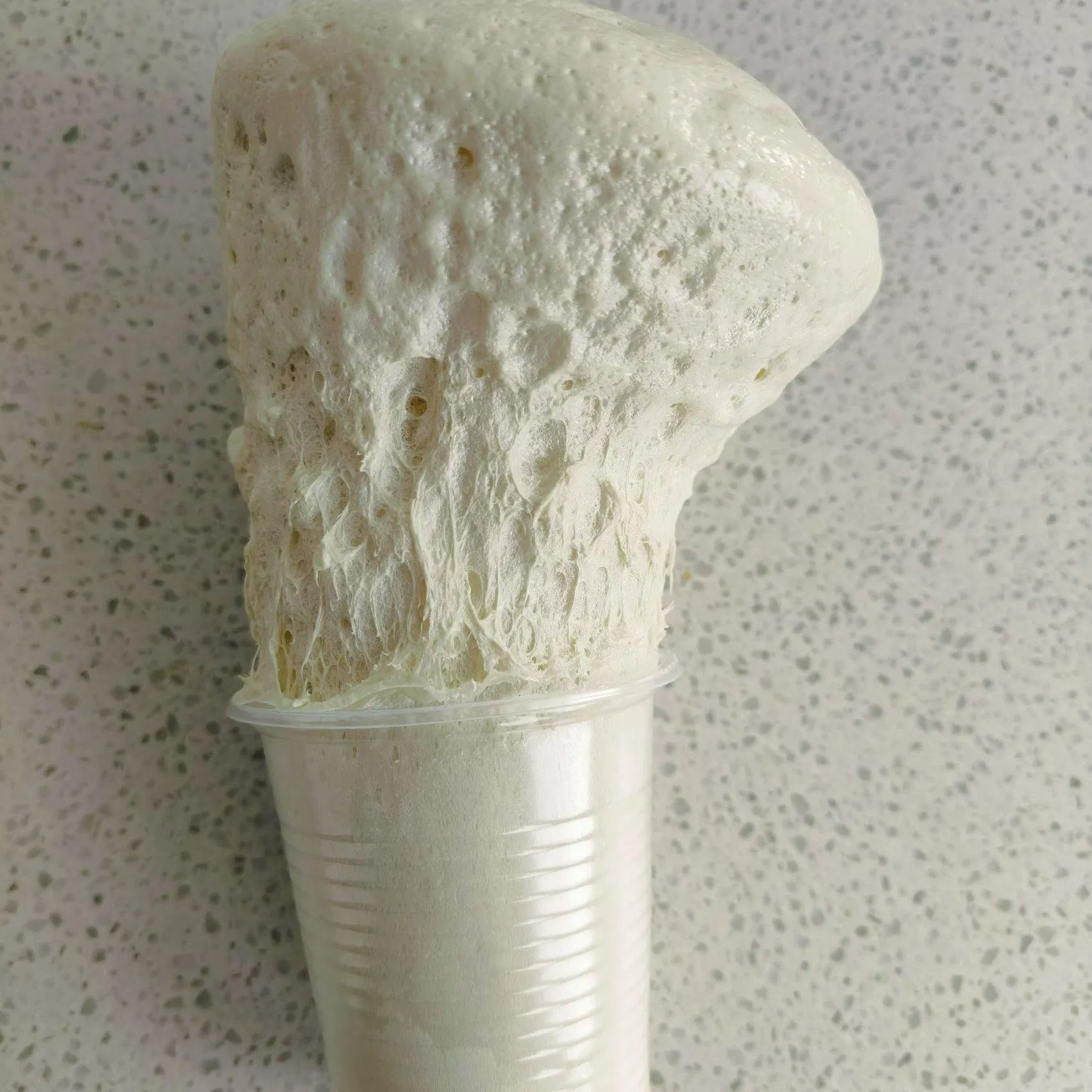 Hydrophobic and Hydrophilic PU Grouting Materials for Leak Repair Building Material