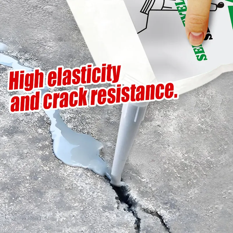 Main Product Display