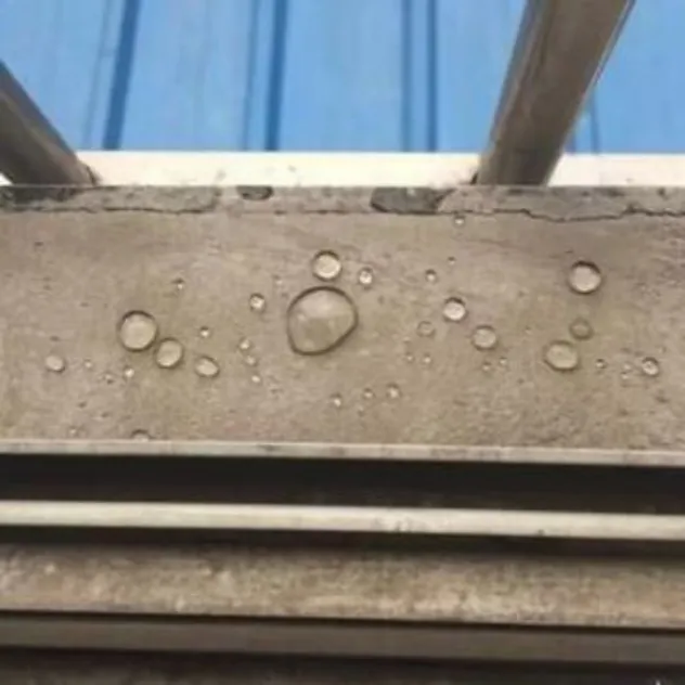 Application Detail 1