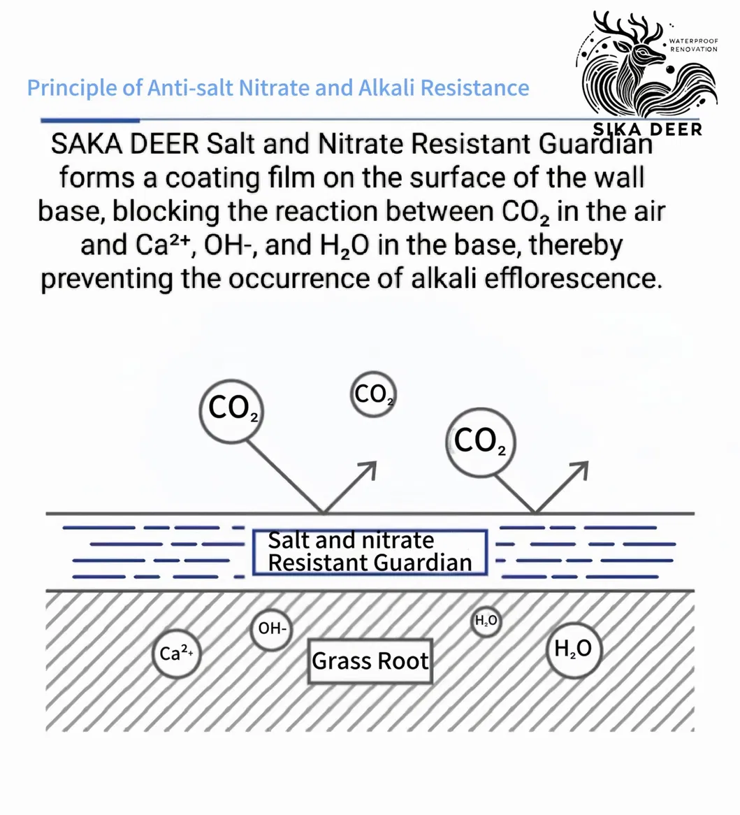 Eco-Friendly Coating