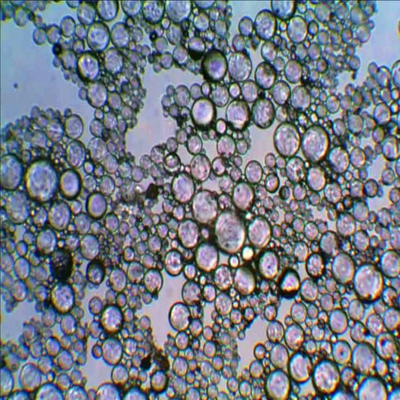 Hollow Glass Microspheres for Thermoplastic &amp; Thermoset Systems