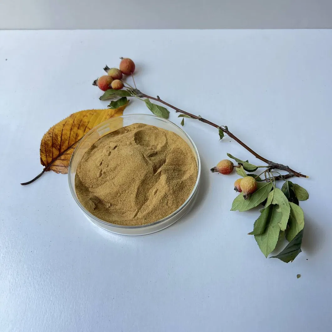 SNF Water Reducing Agent