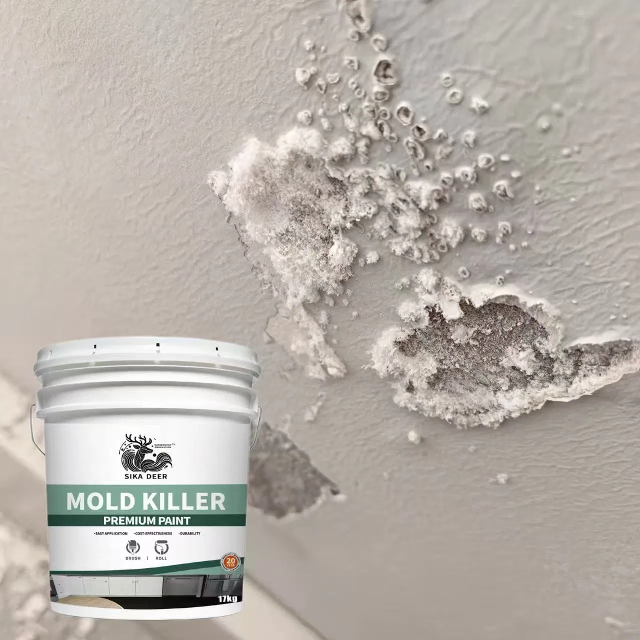 Polymer-Enhanced Guard for Leaking Areas with Mold Killer Coating