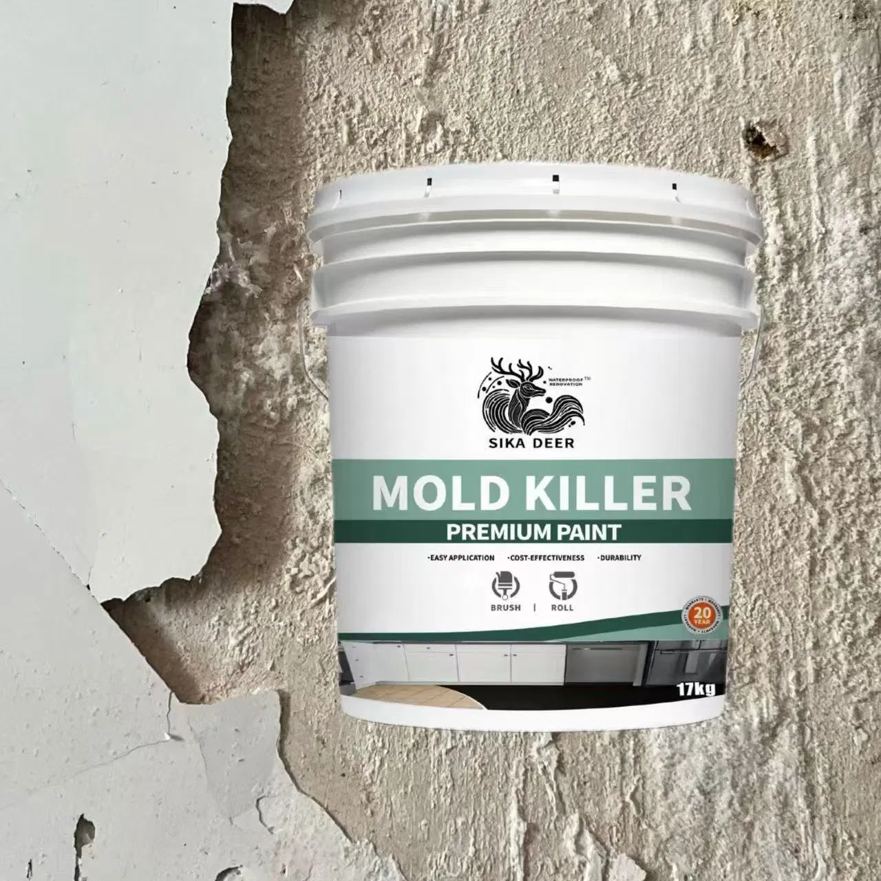 Eco-Friendly Protection for Substrates with Mold Killer Coating