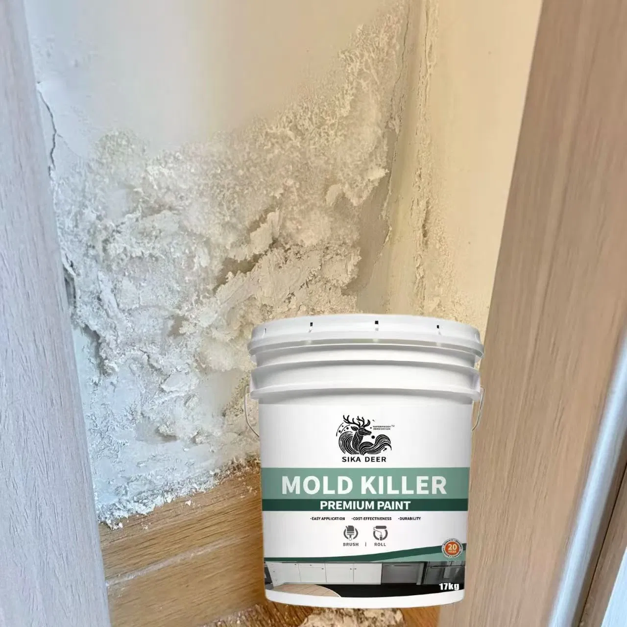Long-Lasting Mildew Prevention: Mold Killer Coating