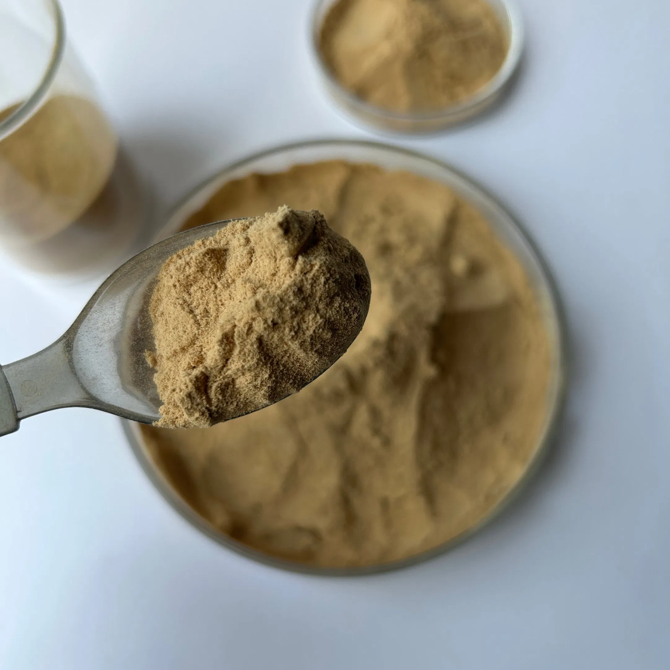 The Production of Powder Air-Entraining Agents Enhances The Durability of Concrete and Accelerates Foaming