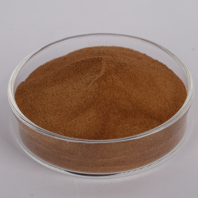 Advanced Ns95 Concrete Superplasticizer Powder for Rcc Applications