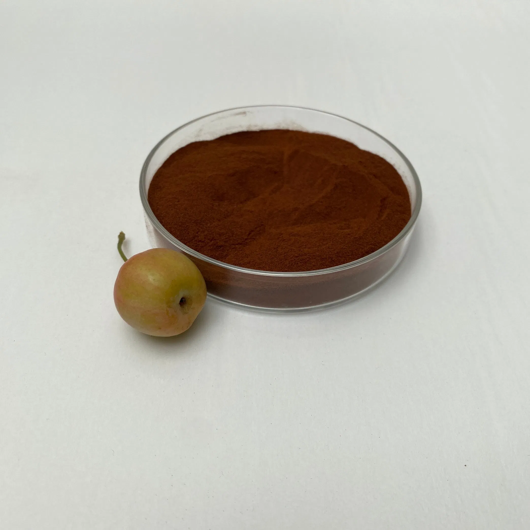 Aliphatic Water Reducing Agent Brownish-Red Powder Anti-Seepage Waterproof Concrete