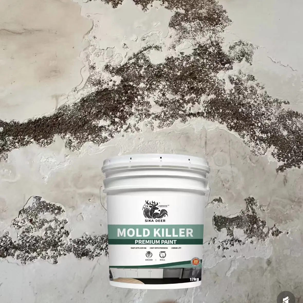 Eco-Friendly Protection for Substrates with Mold Killer Coating