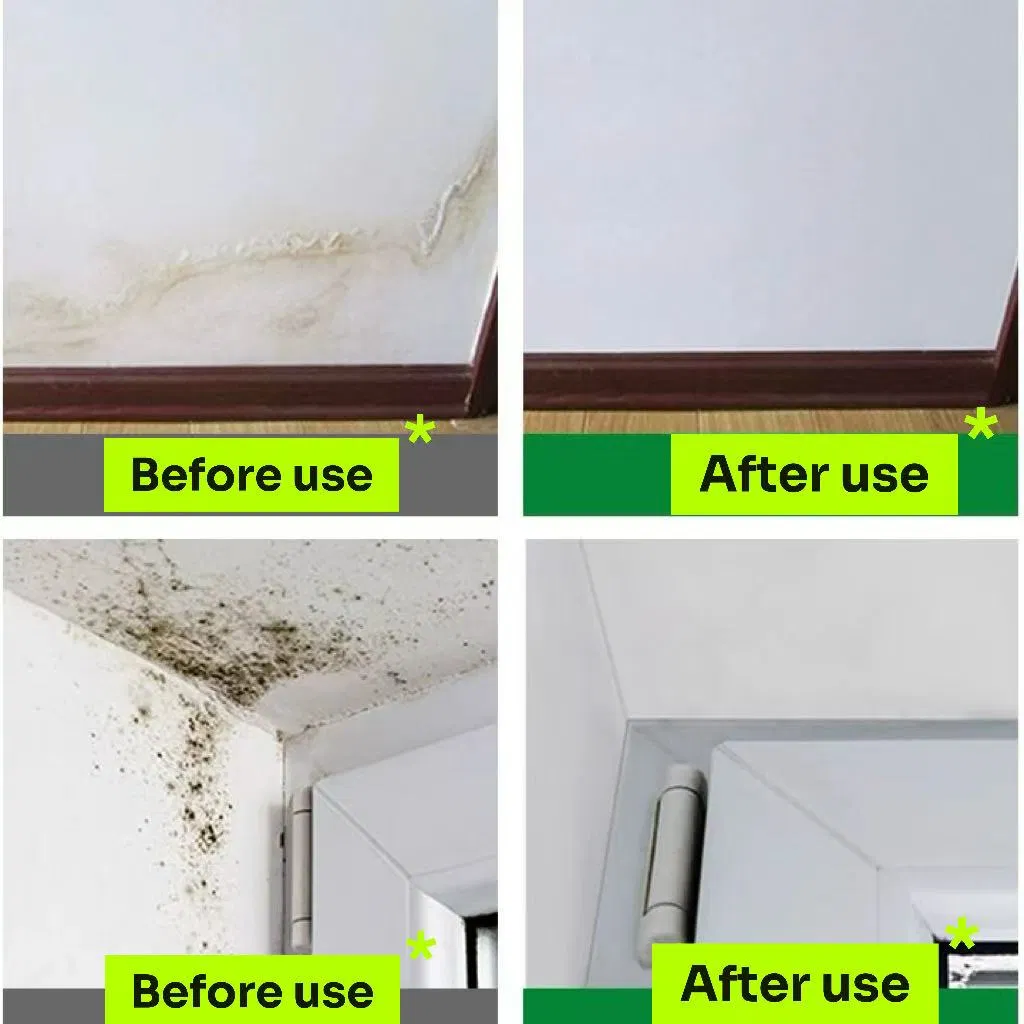 Eco-Friendly Protection for Substrates with Mold Killer Coating