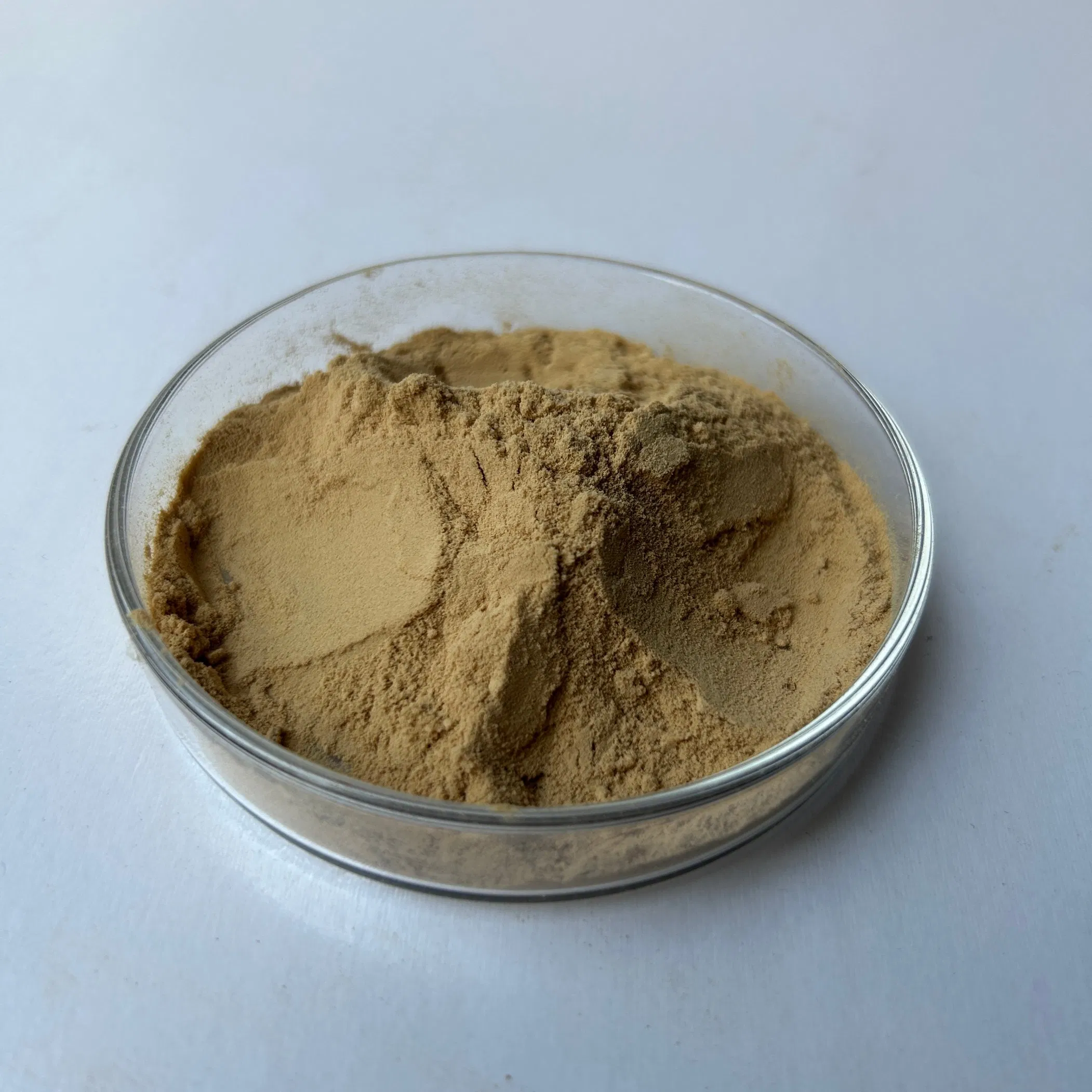 The Triterpene Saponin Concrete Air-Entraining Agent and Cement Mortar Building Additive Produced Are Durable