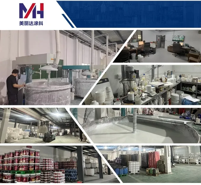 Professional Paint Coating