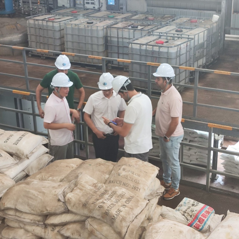 Factory Sales Concrete Admixture Polycarboxylate Superplasticizer Monomer Tpeg/Hpeg/Epeg/MPEG for Concrete Supplier