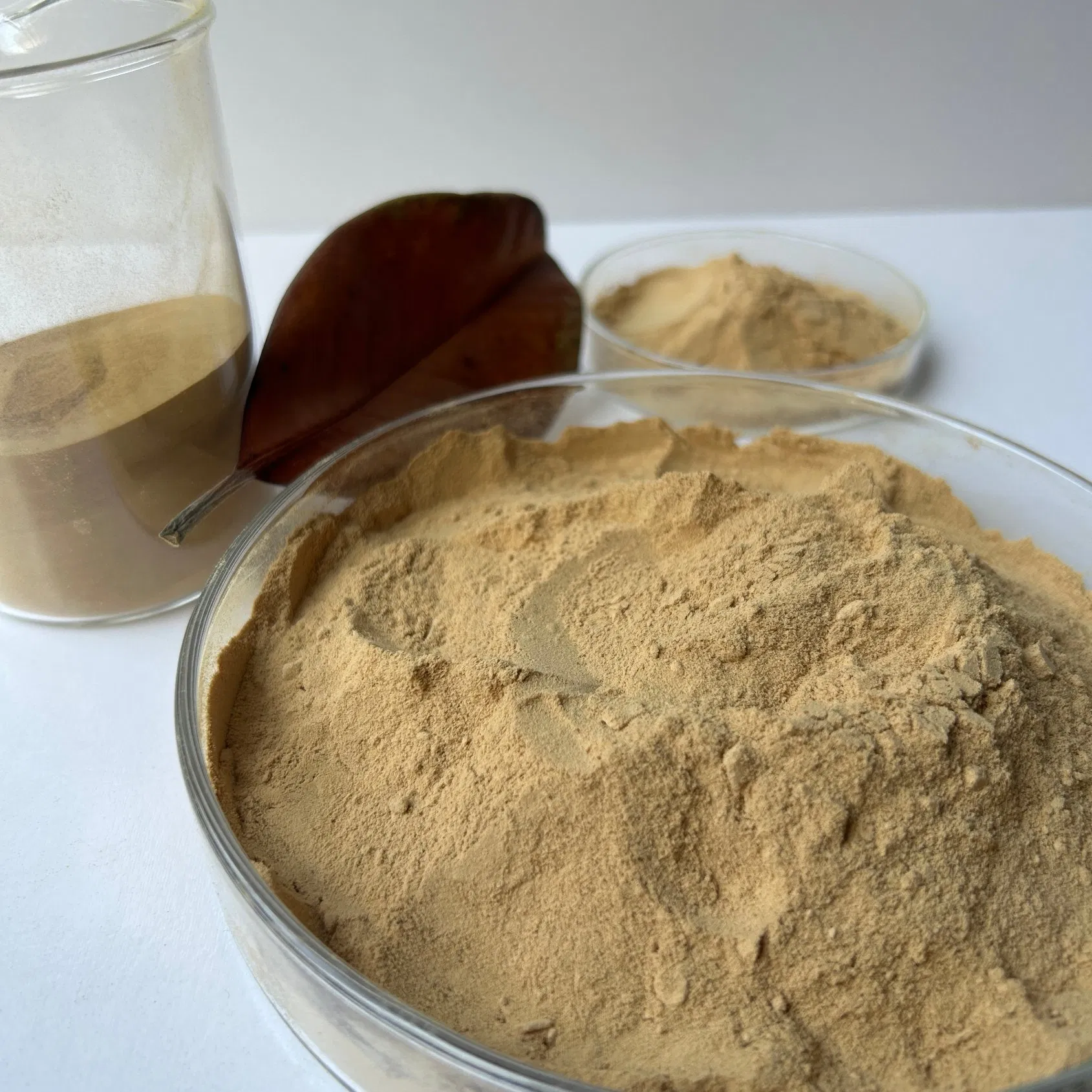 The Triterpene Saponin Concrete Air-Entraining Agent and Cement Mortar Building Additive Produced Are Durable