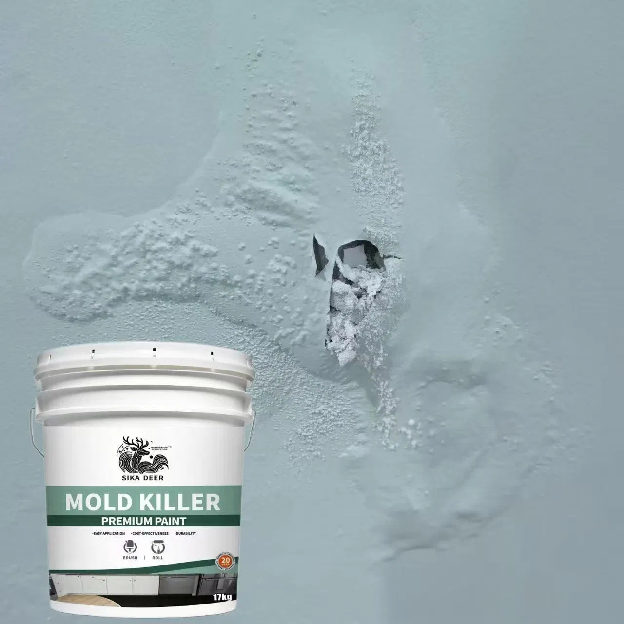 Long-Lasting Mildew Prevention: Mold Killer Coating