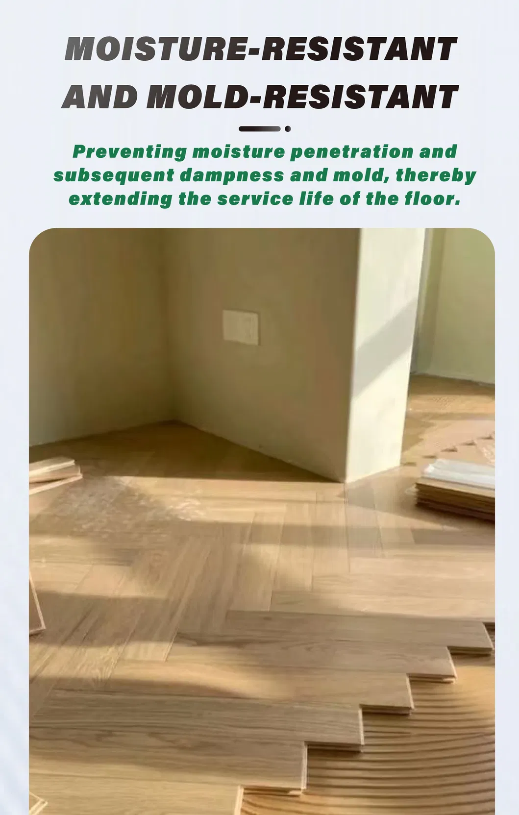 Application Image 12