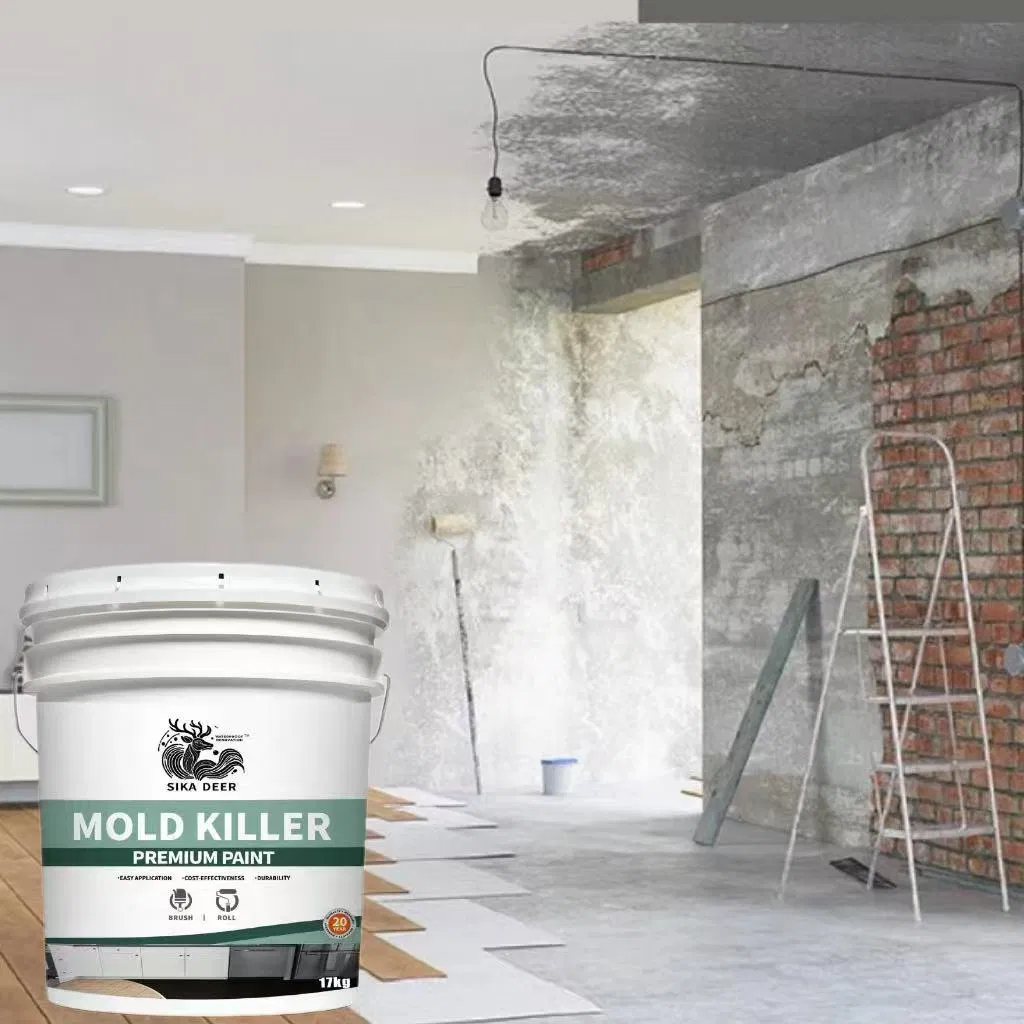 High-Performance Mildew Remover: Mold Killer Coating