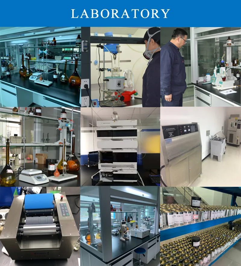 Our Lab