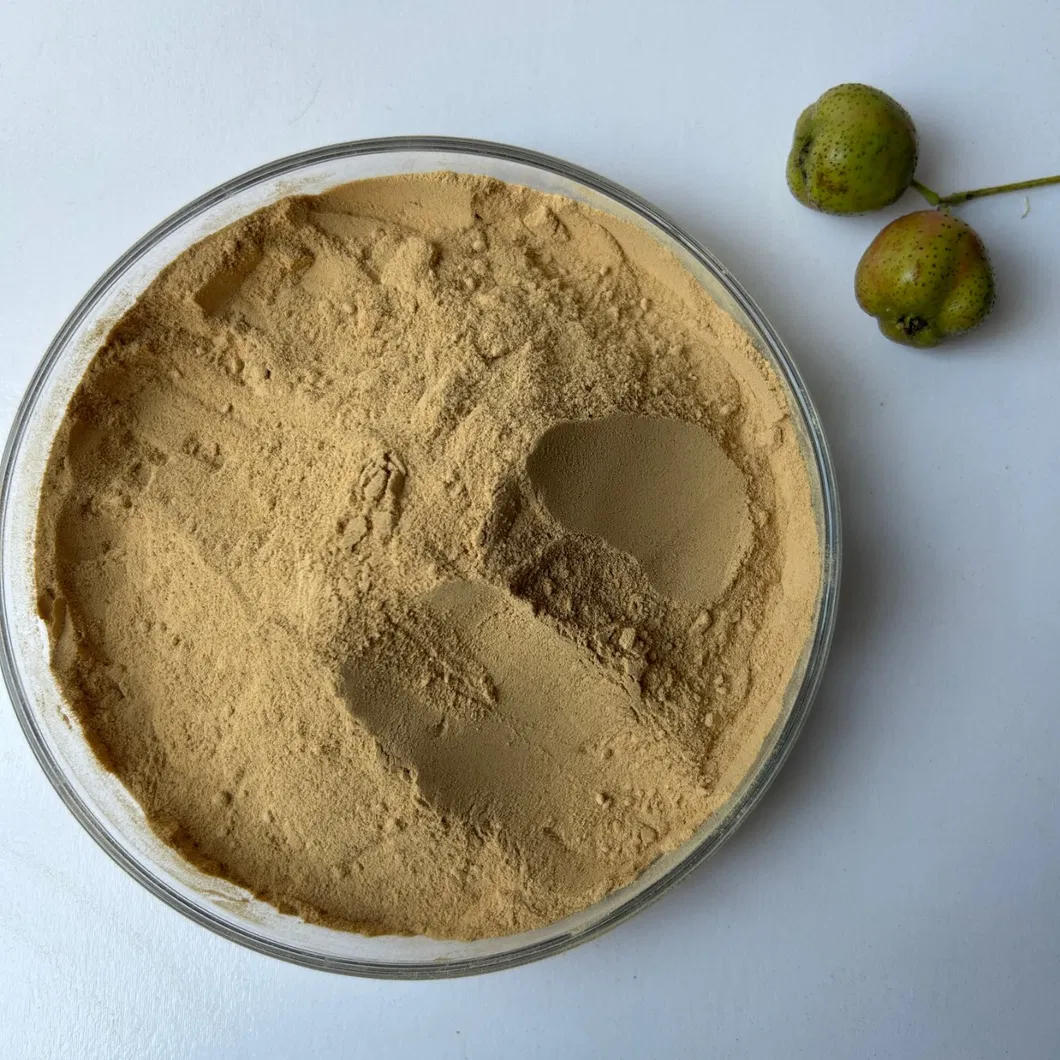 Building Cement Concrete Surfactant