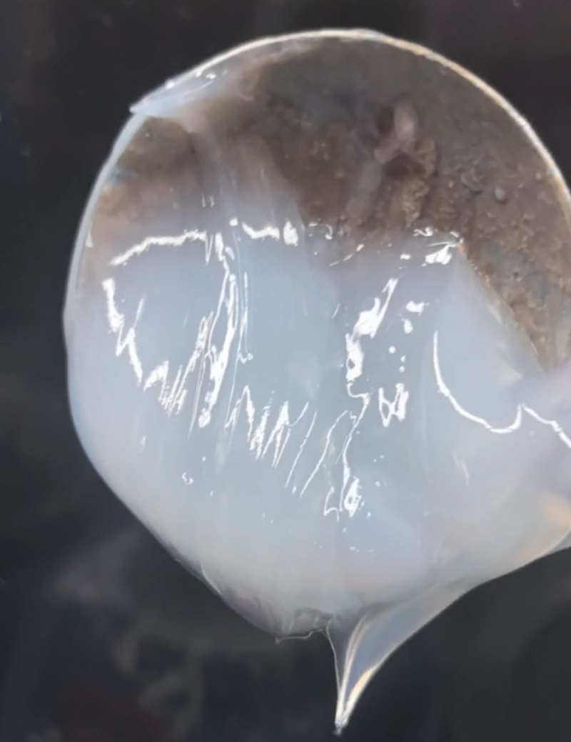 Silicone-Modified Pure Acrylic Transparent Waterproof Paint