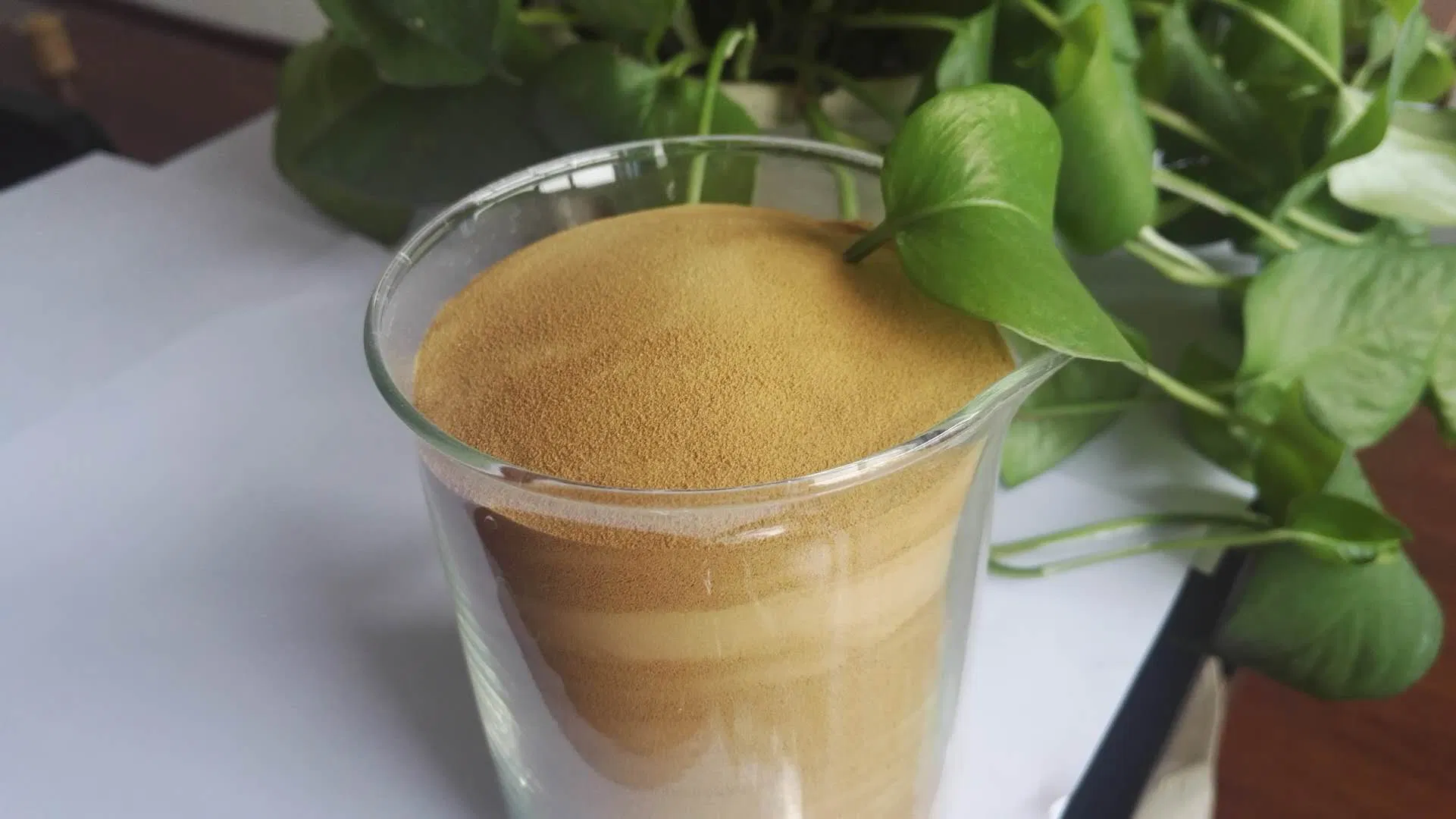 Sodium Naphthalene/Sulphonate Formaldehyde/Water Reducing Admixture