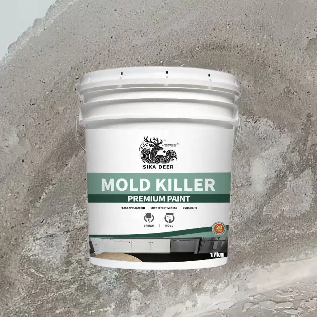 Long-Lasting Mildew Prevention: Mold Killer Coating