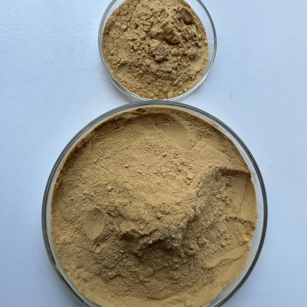 Air-Entraining Agent Powder
