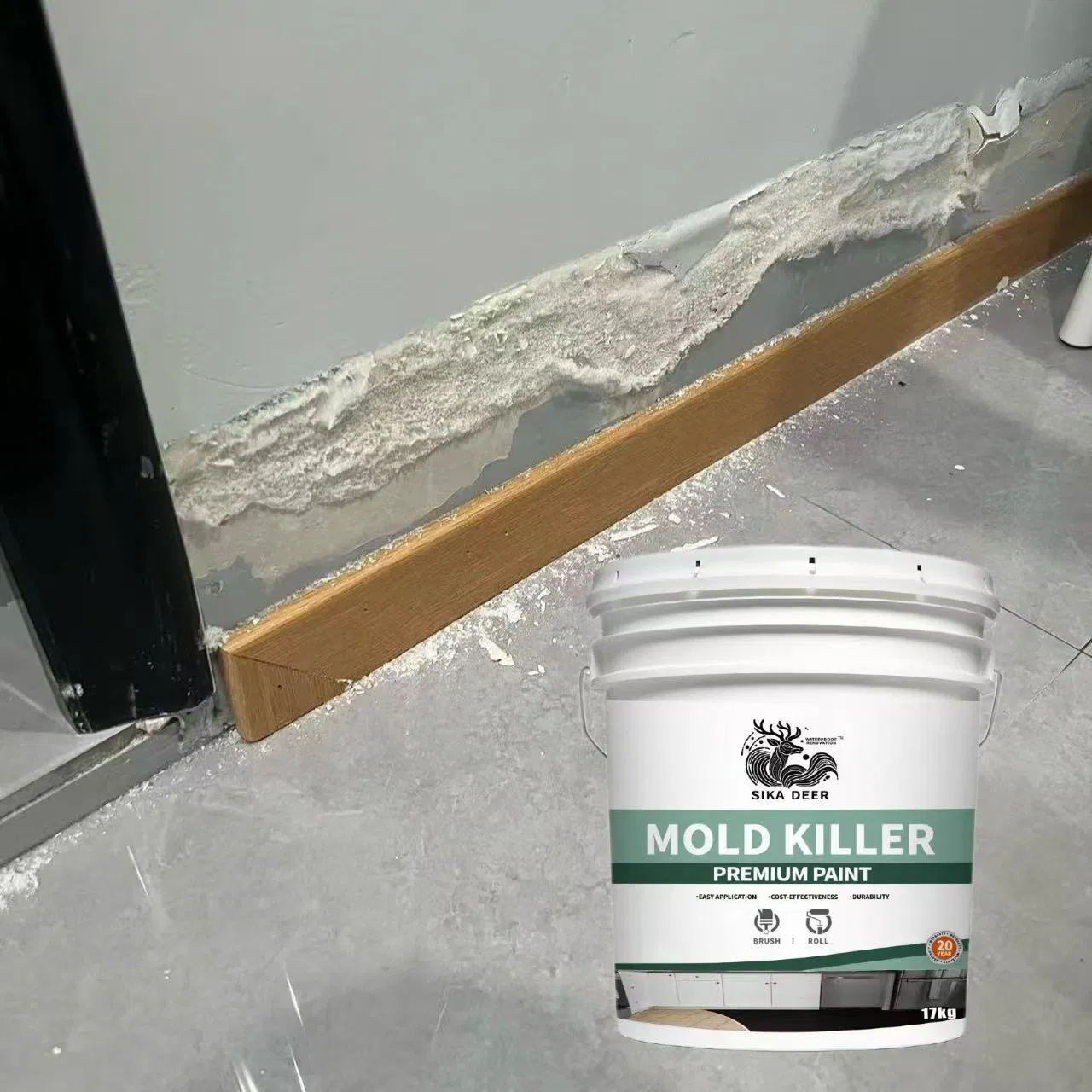 Eco-Friendly Protection for Substrates with Mold Killer Coating