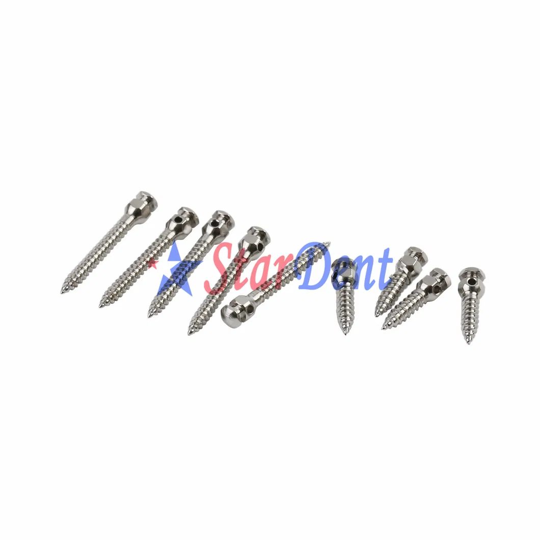 Dental Mini Screws 2