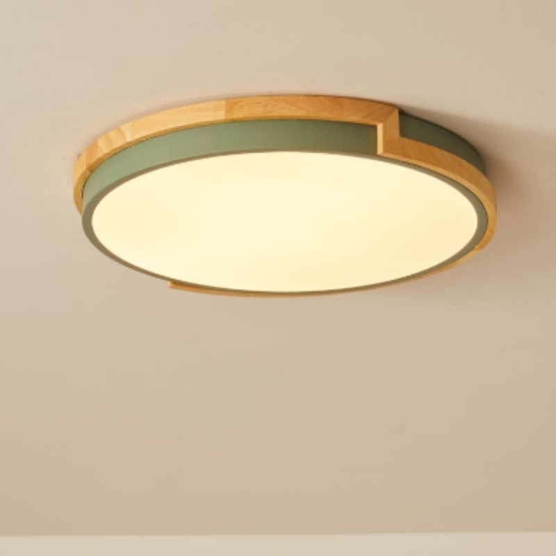Rust Proof Ceiling Light Durable for Outdoor Canopy and Porch Lighting