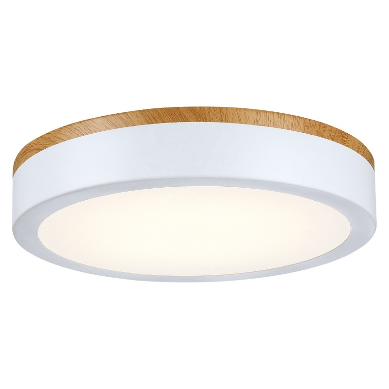 Rust Proof Ceiling Light Durable for Outdoor Canopy and Porch Lighting