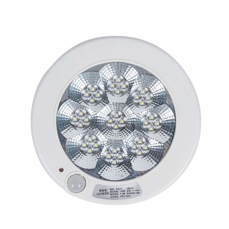 Factory Direct Sale Indoor Hotel Plastic Downlight Recessed Mounted Fireproof Led Emergency Ceiling Light