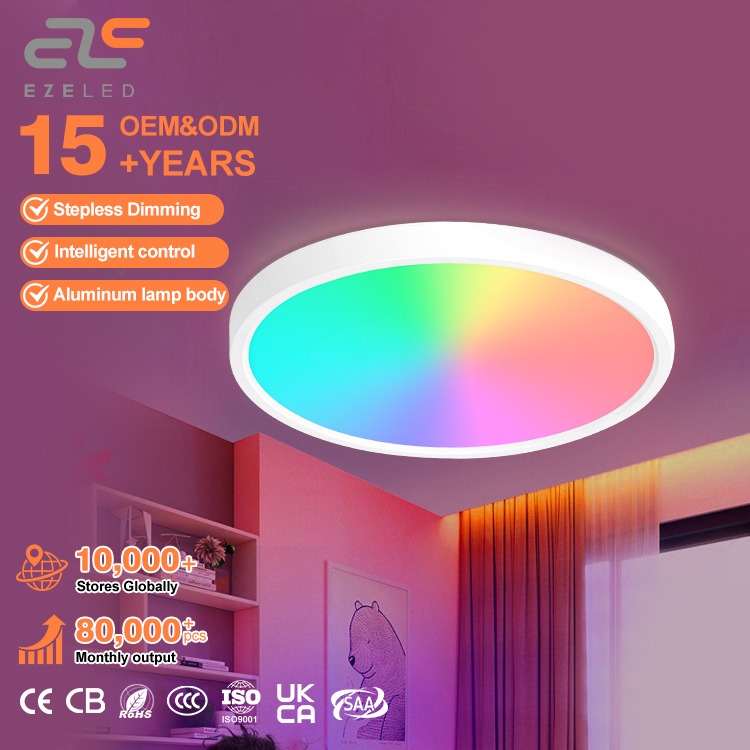 Factory Directly Energy Saving Smart Modern Surface Mounted Indoor Ultra Thin Flush Mount Panel Light Fixtures 24W LED Ceiling