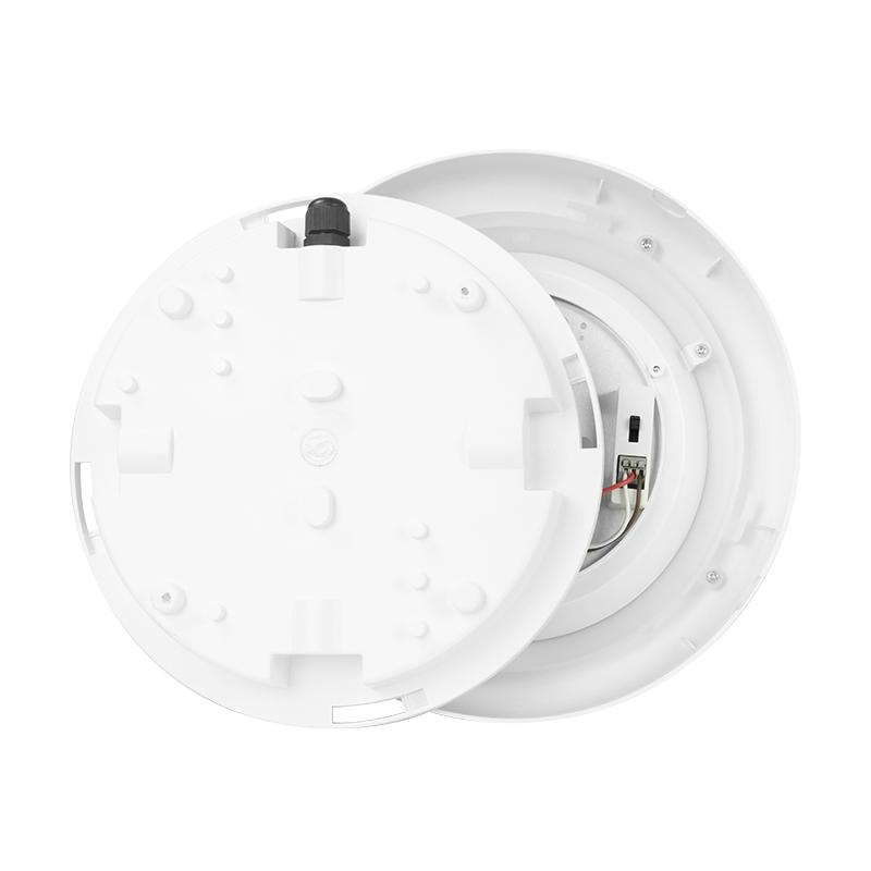 IP65 Outdoor LED Ceiling Light Hot Sale in French with Motion Sensor