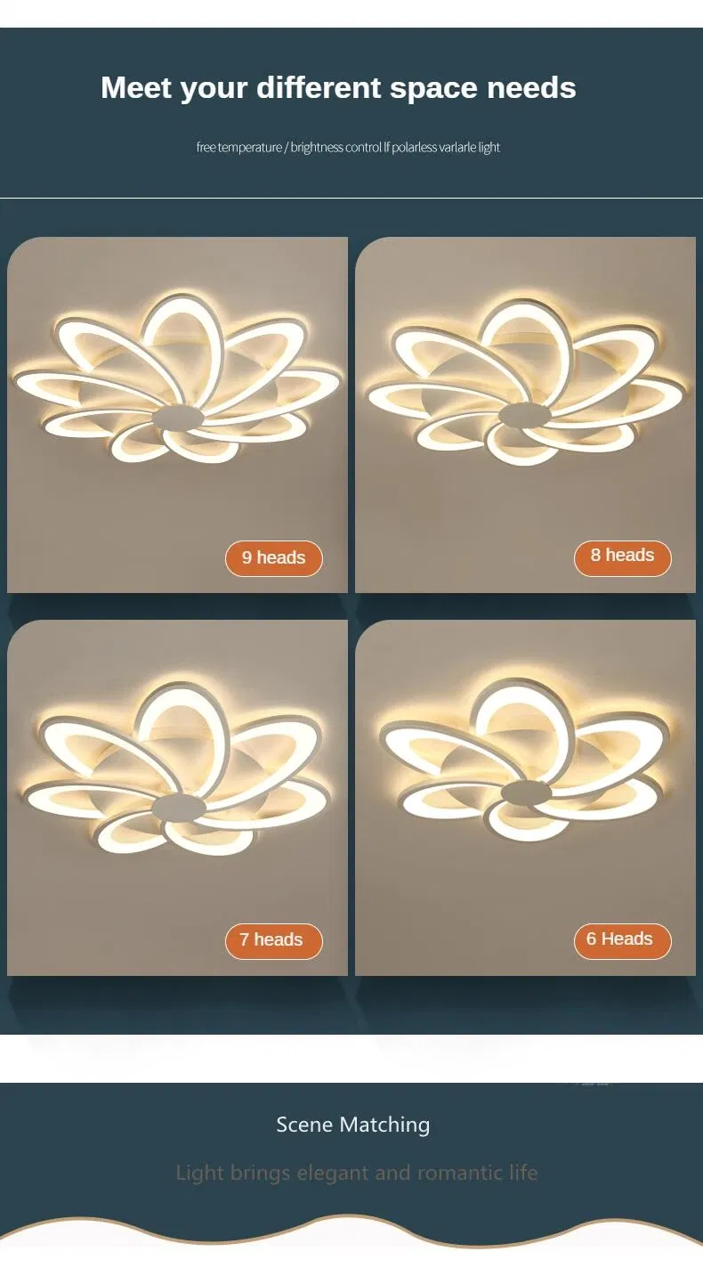 Modern Ceiling Lamp Light 5