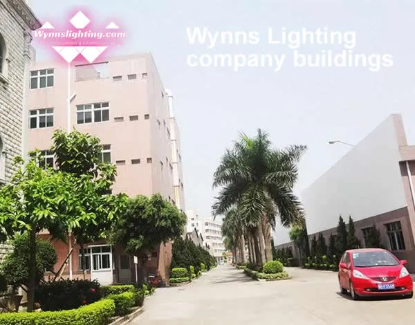 Modern Flat Surface Mount Ceiling Lamp Side view