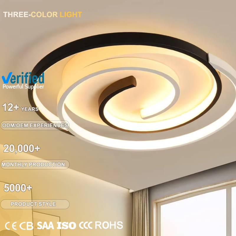 Minimalist Ring Ceiling Lights Living Room Ultra Thin Circle Acrylic Black And White Ceiling Lights For Bedroom