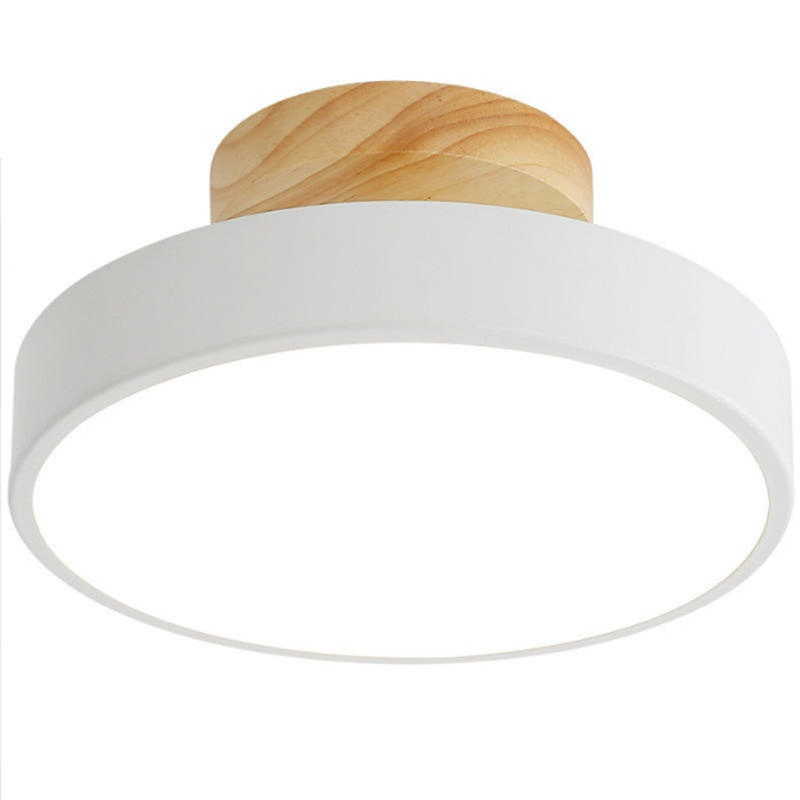 Rust Proof Ceiling Light Durable for Outdoor Canopy and Porch Lighting