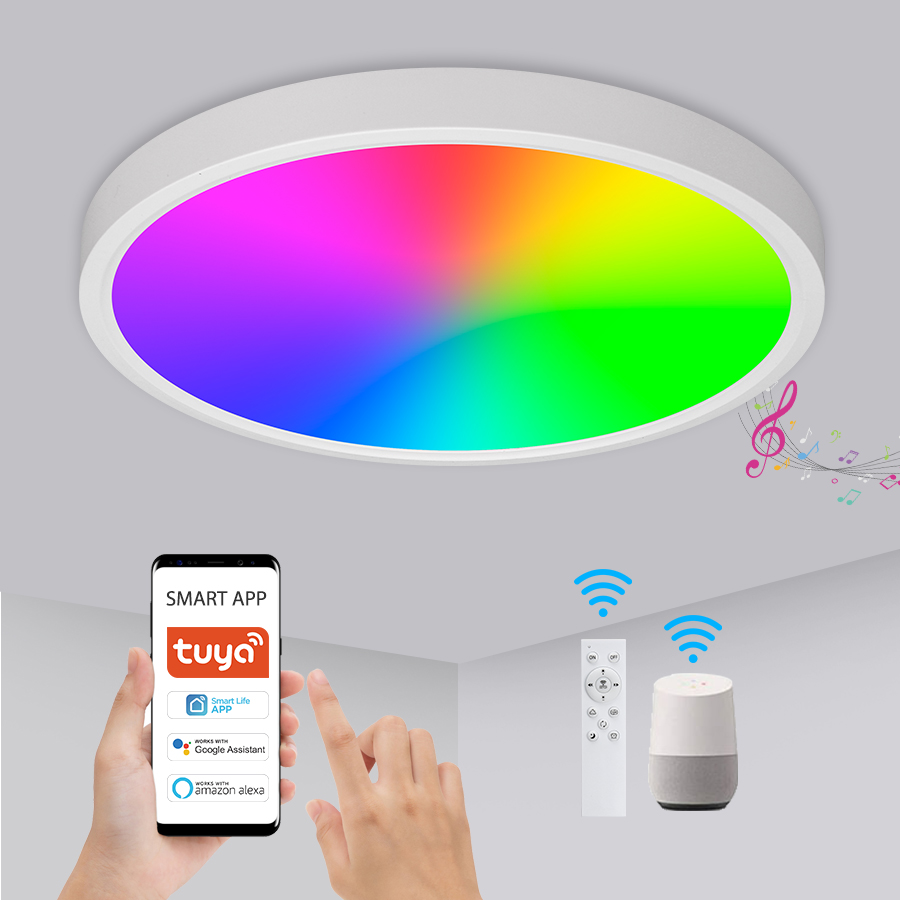 Smart Control Tuya APP Control 24W Round Ceiling Light Indoor Flush Mount Fixture for Living Room